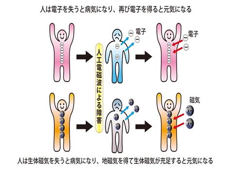 磁場 人間 影響|地磁気50のなぜ